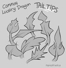 a drawing of a dragon with the words common lineary dragon tail tips on it