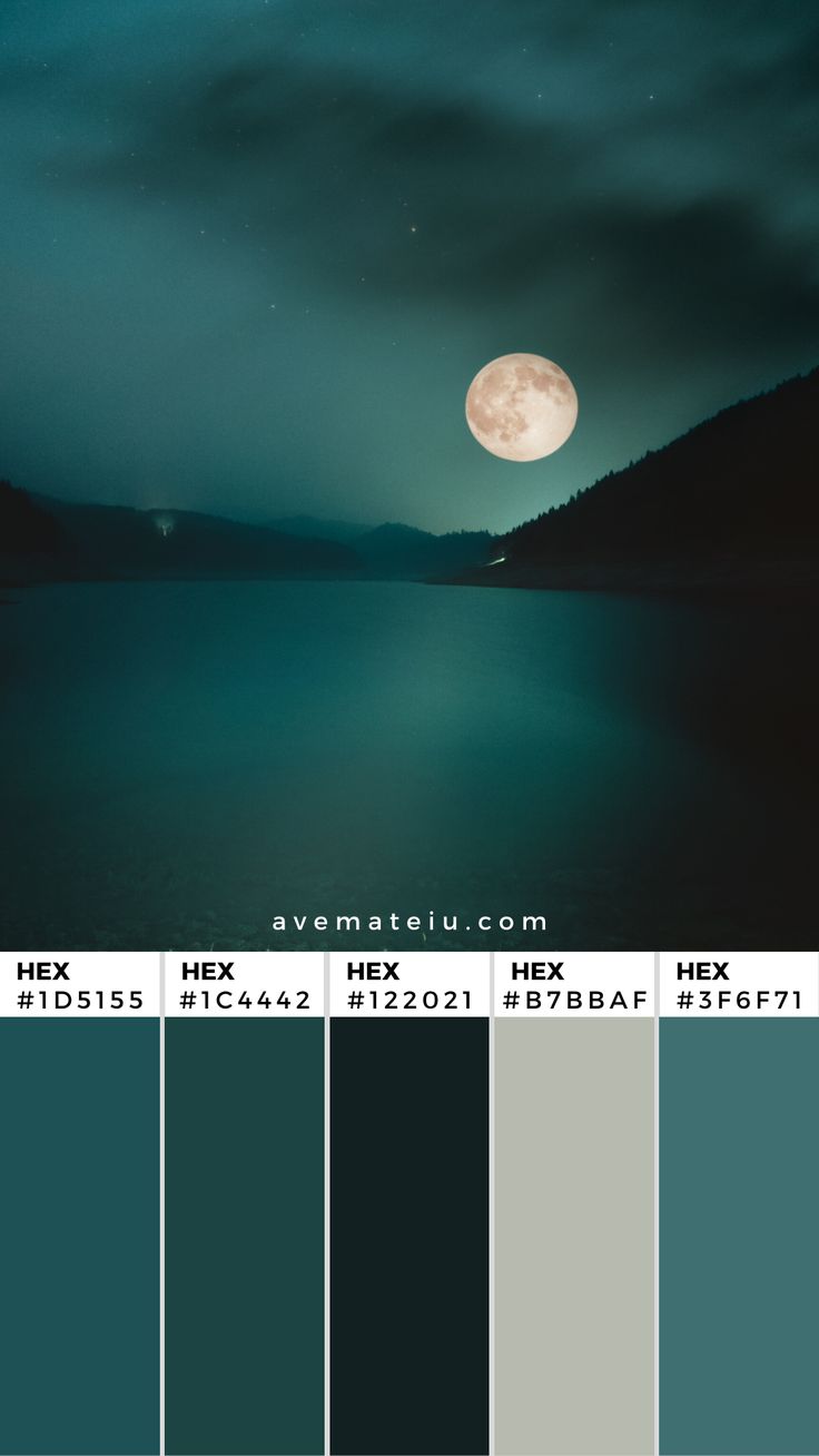 a full moon is seen over the water in this color palette with dark blue and green tones