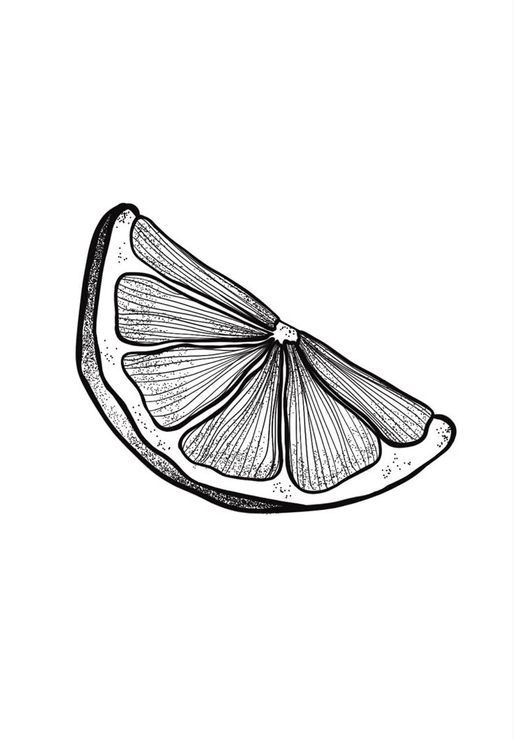 a black and white drawing of a slice of lemon on a white background, with the top half cut off