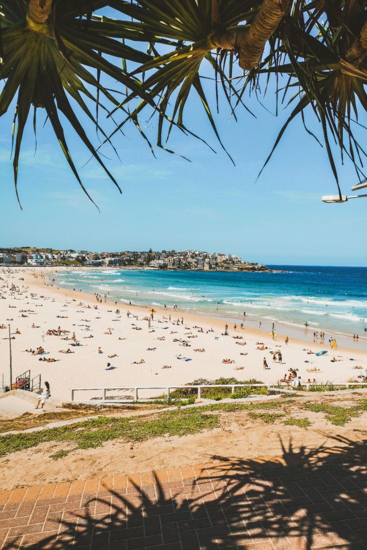 the beach is crowded with people on it and there are palm trees in the foreground