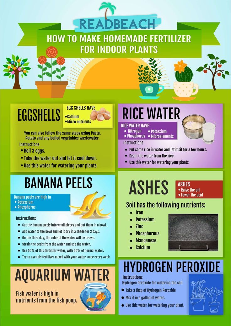 the benefits of water for plants and how to use it in your home info board