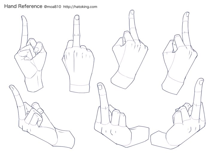 hand reference for the fingers in different positions and sizes, with one finger pointing up to the