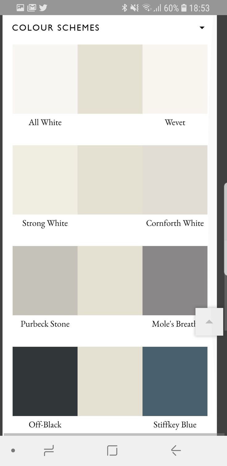 the color scheme is shown on an iphone screen, and it appears to be white