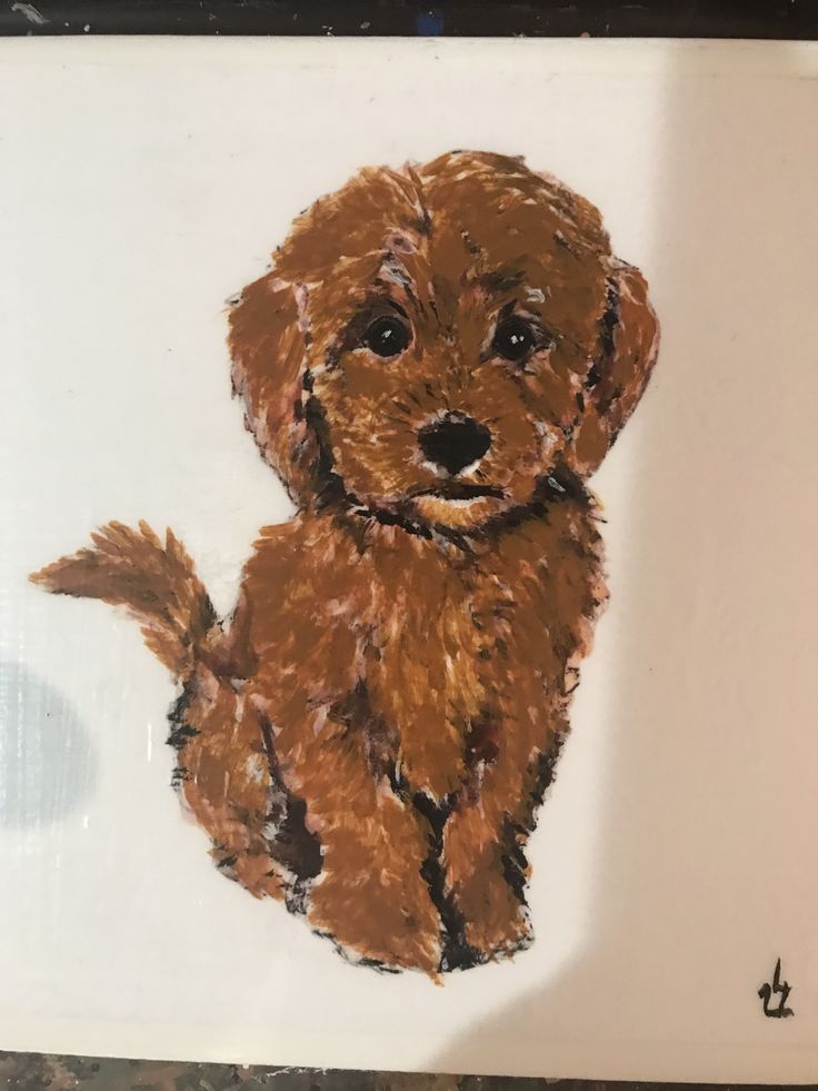 a drawing of a brown puppy sitting down