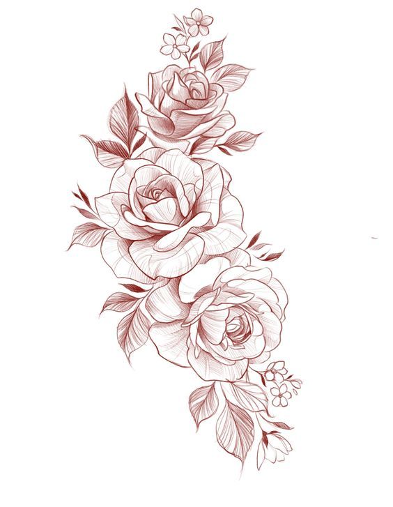 some roses on a white background with leaves and flowers in the corner, as well as an