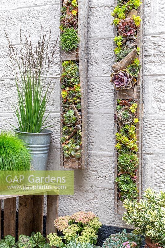 an assortment of succulents and plants are displayed on the side of a building