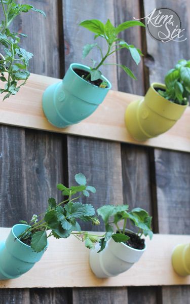 several potted plants hanging on a wooden wall