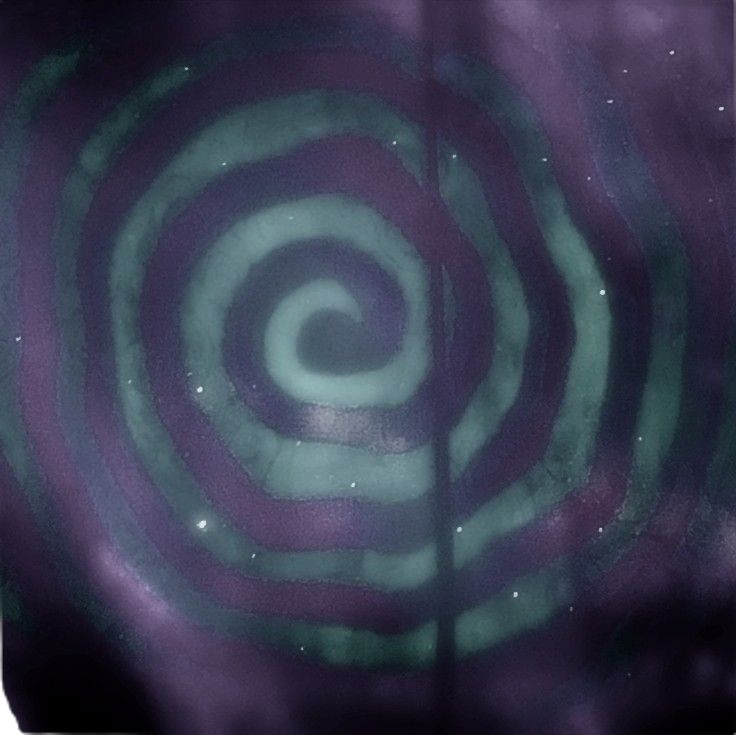 an image of a purple and green swirl shower curtain