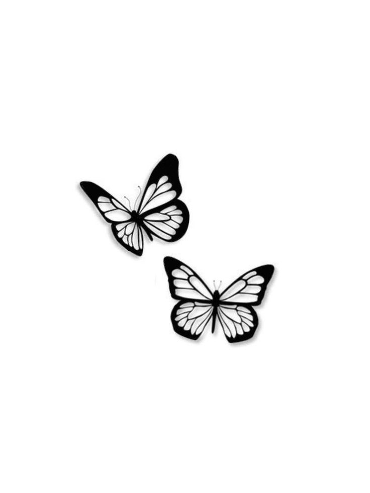 two black and white butterflies on a white background