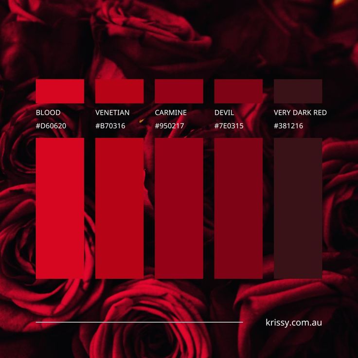 Multiple shades of red with hex codes Gore Palette Color, Red Colour Palette Aesthetic, Red Velvet Colour Palette, Red Boss Aesthetic, Red Dark Color Palette, The Color Red Meaning, Burlesque Color Palette, Red Black Color Scheme, Dark Red Color Pallete