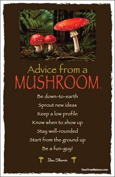 advice from a mushroomshoom