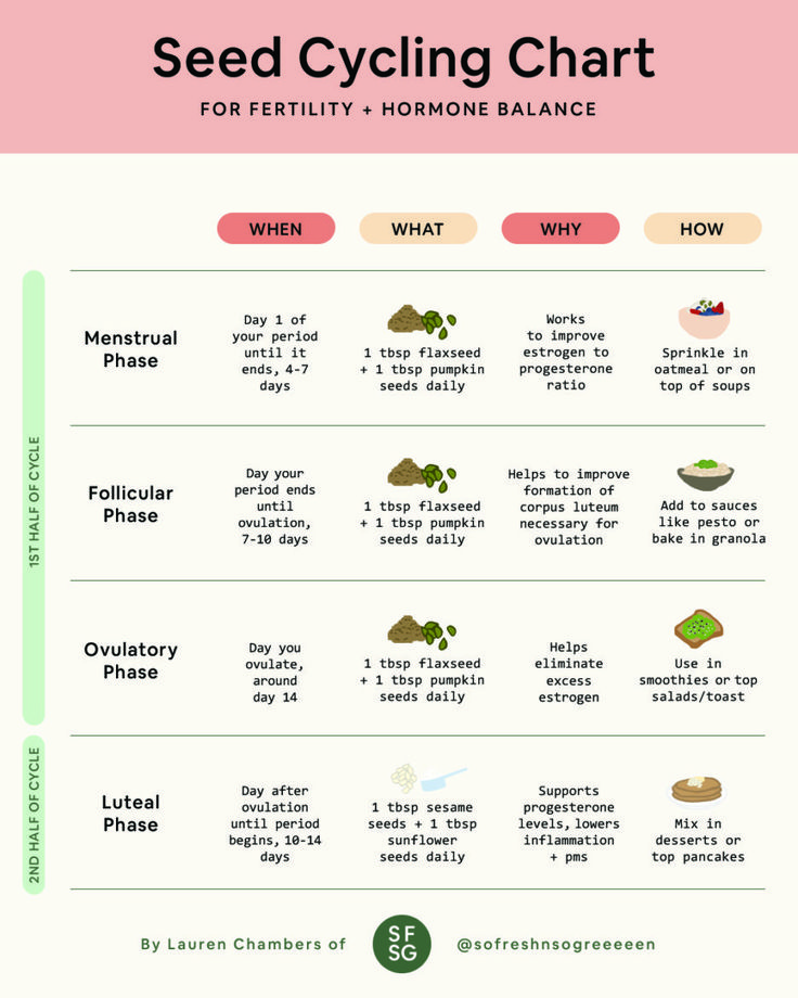 How To Make A Fertility-Boosting Smoothie + Dark Chocolate Strawberry Fudge Fertility Smoothie Recipe » So Fresh N So Green Hormone Nutrition, Fertility Smoothie, Foods To Balance Hormones, Seed Cycling, Progesterone Levels, Fertility Boost, Menstrual Health, Feminine Health, Happy Hormones