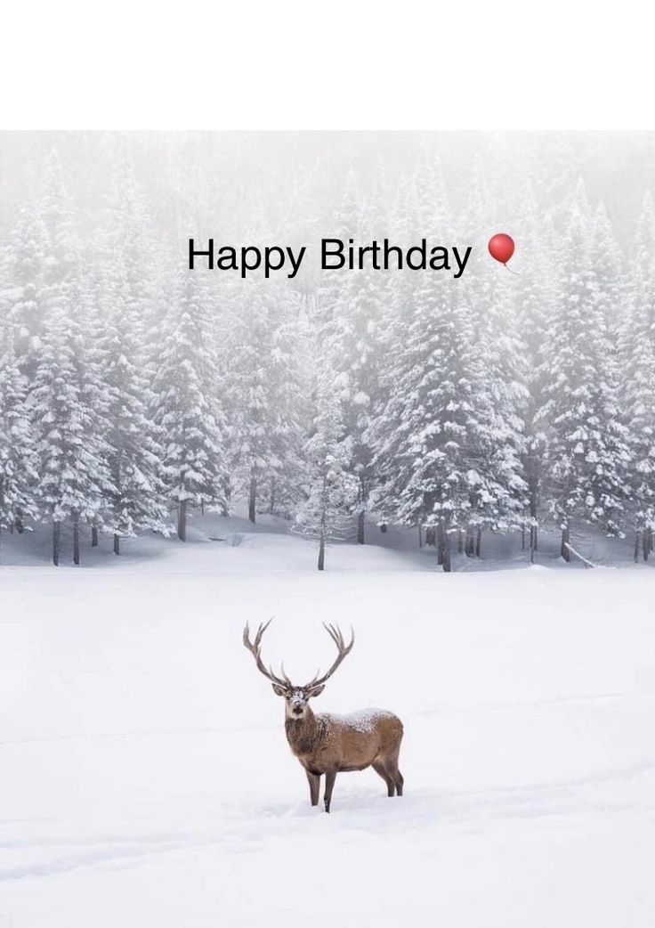 a deer standing in the middle of a snow covered field with an apple on it's back