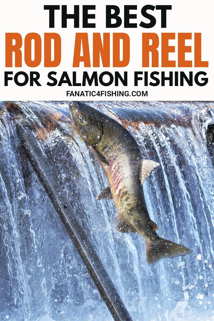 the best rod and reel for salmon fishing with text overlay that reads, the best rod and reel for salmon fishing