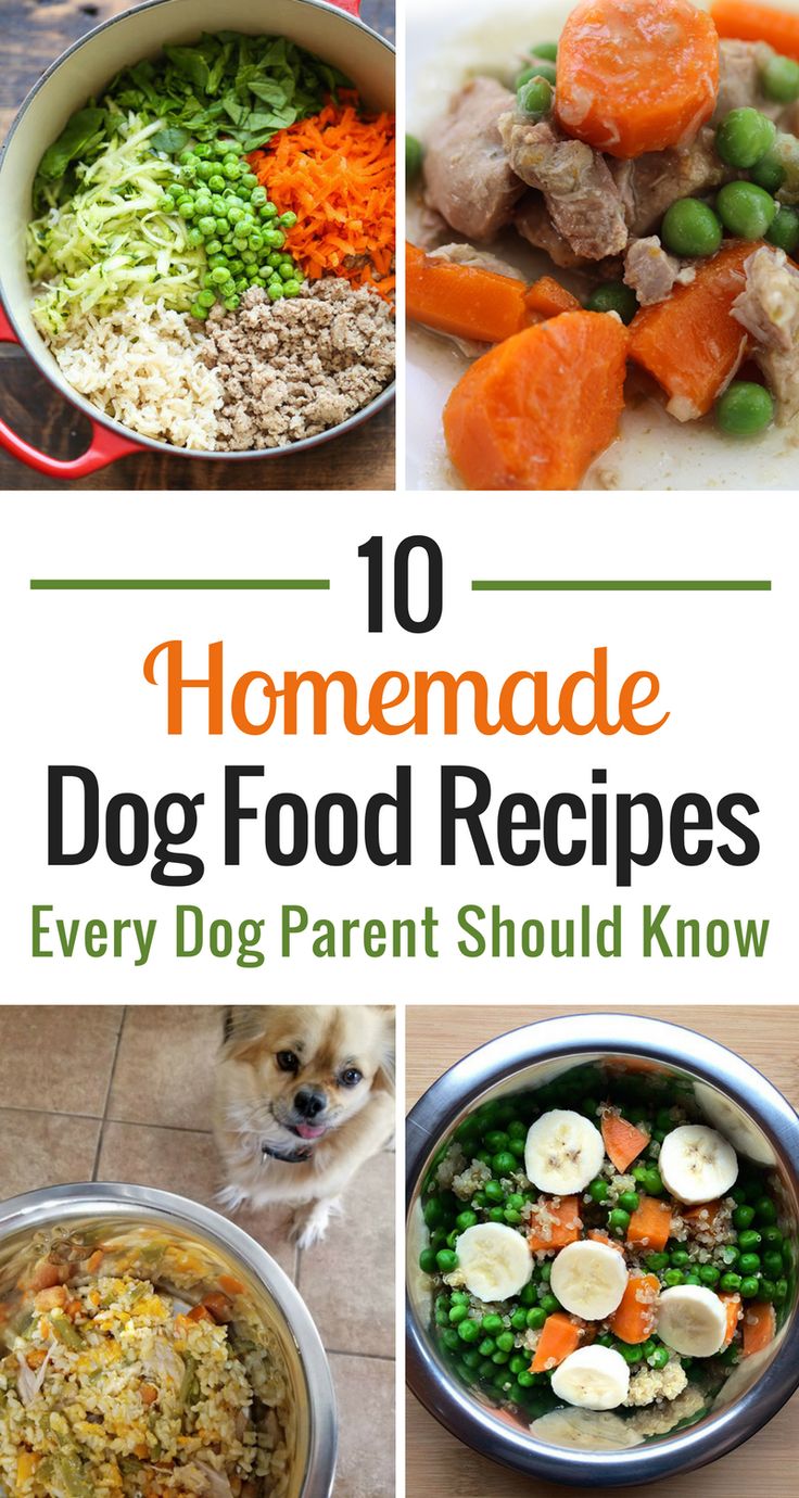 10 homemade dog food recipes for every dog mom should know about them and how to use them