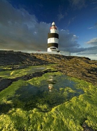 a light house on top of a hill covered in green mossy grass and water