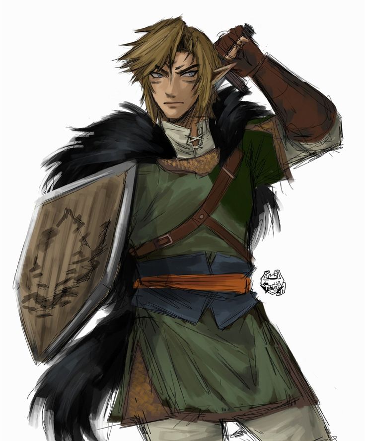 Link Twilight Princess, Ghost Cartoon, Zelda Twilight Princess, Link Art, Wind Waker, Nintendo Art, Ocarina Of Time, Zelda Art, Twilight Princess