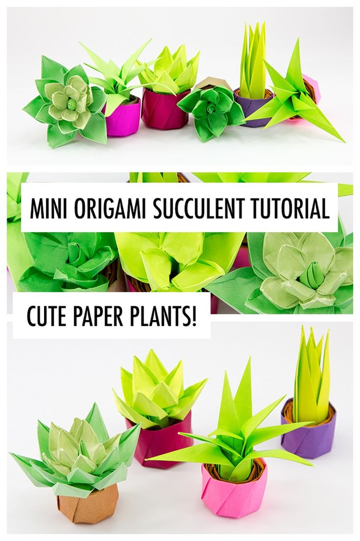 three different types of origami succulents