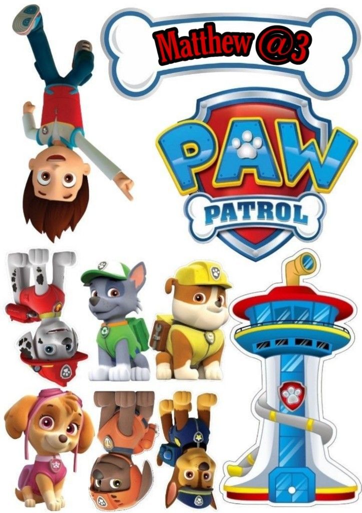 the paw patrol characters are depicted in this poster