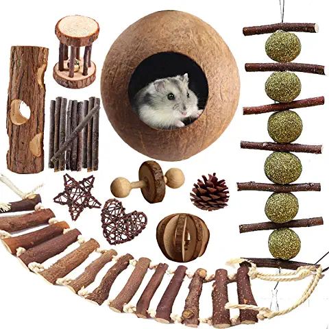 a hamster in a tree house surrounded by wood and other things to make it look like an animal