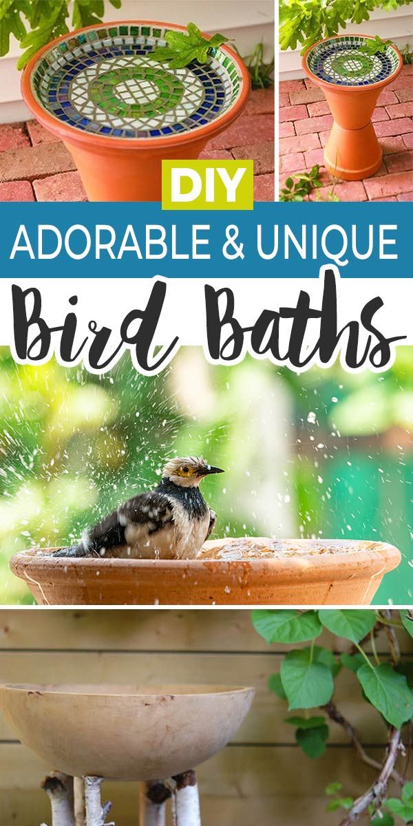 an adorable bird bath is shown in this collage with the words diy, adorable and unique bird baths