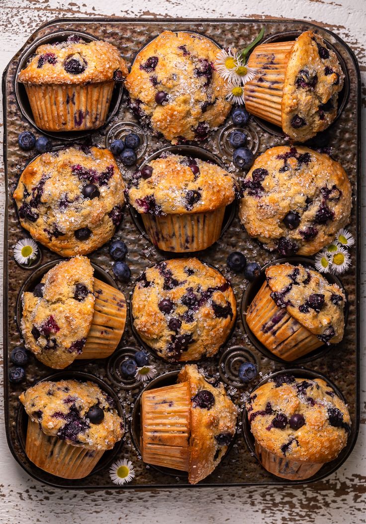 blueberry muffins on a baking tray with fresh blueberries