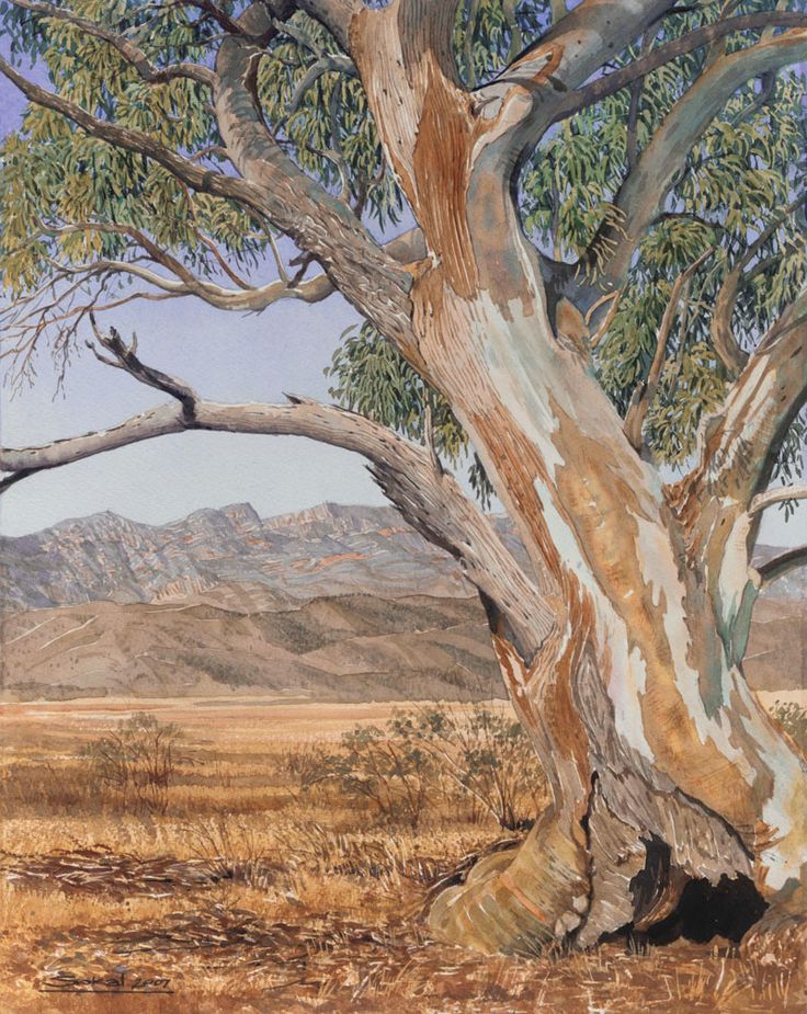 a painting of an old gum tree with mountains in the background