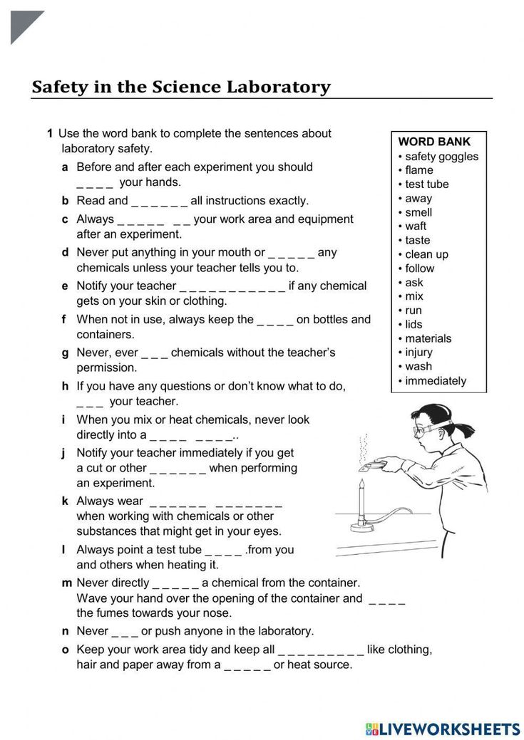 the science lab worksheet for students to practice their skills and work on writing