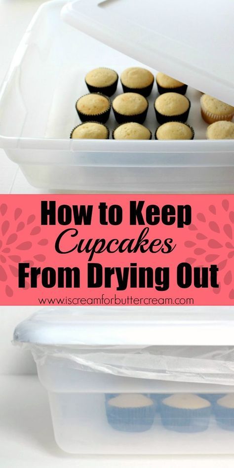 cupcakes in plastic containers with the words how to keep cupcakes from drying out