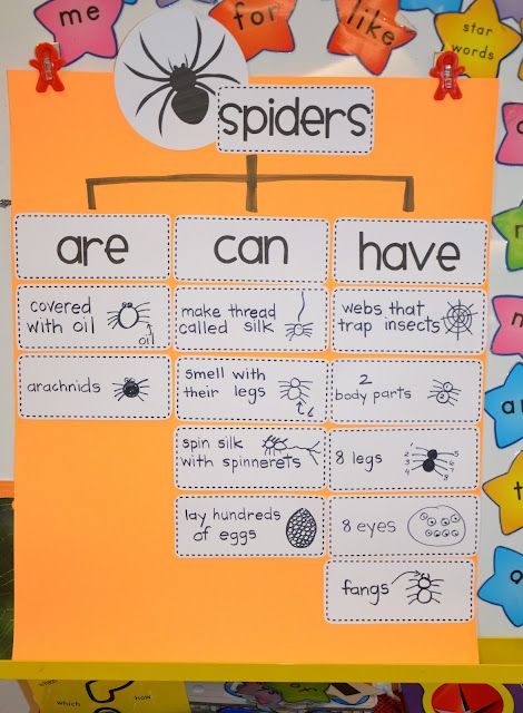 a bulletin board with words on it that say, spiders are can't have