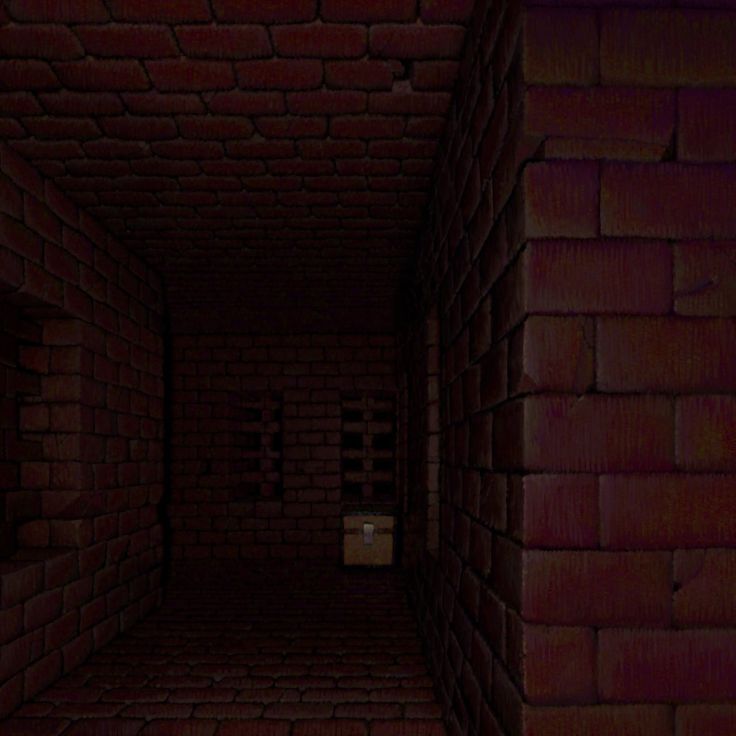 a dimly lit hallway with brick walls and doors