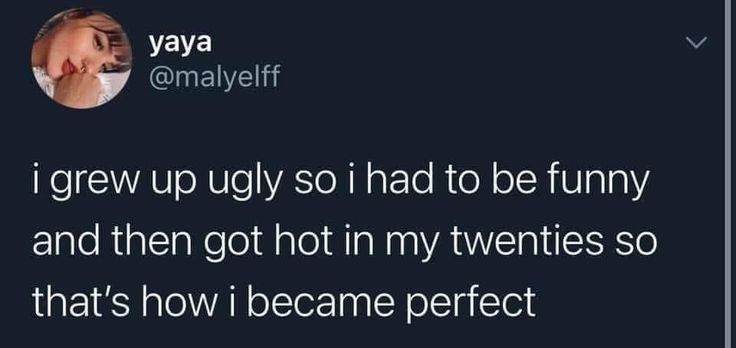 a tweet that reads, i grew ugly so i had to be funny and then got hot in my twenties so that's how i become perfect