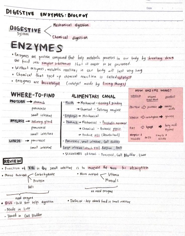 Enzymes Biology, Speed Up Your Metabolism, Study Vibes, Biology Notes, Printable Checklist, Chemical Reactions, Study Skills, Stay In Shape, Mind Map