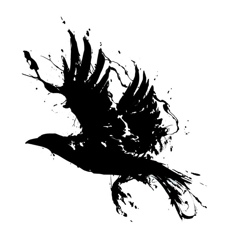 a black and white drawing of a bird flying