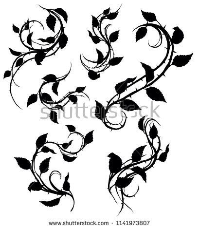 a set of floral vines and leaves with swirls, vintage line drawing or engraving