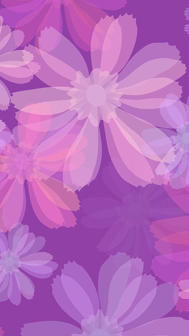 purple and pink flowers on a purple background