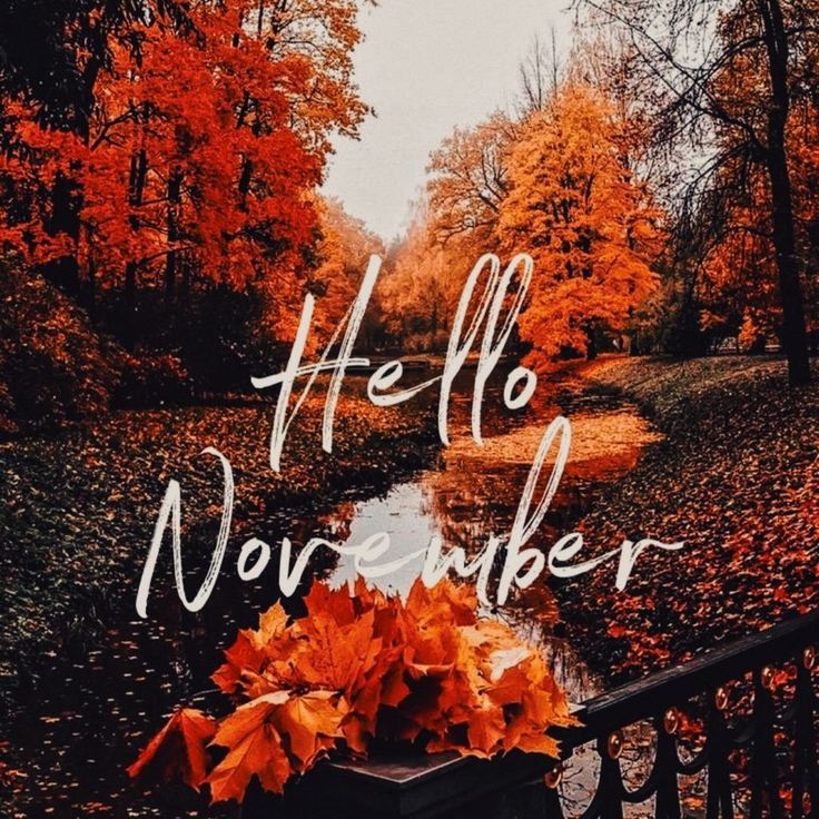 an autumn scene with the words hello november