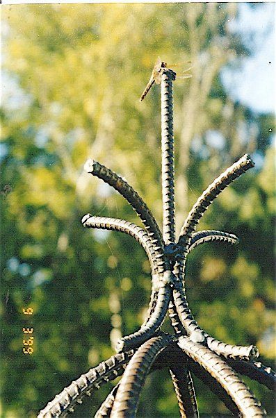 a close up of a metal object with trees in the background