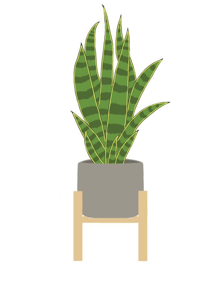 a potted plant sitting on top of a wooden stand