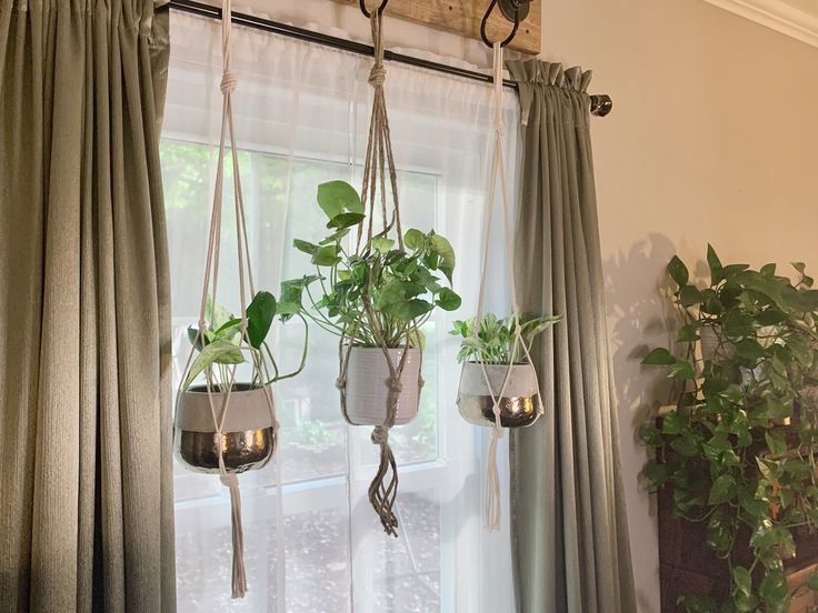 three potted plants hanging from hooks in front of a window with curtains and drapes