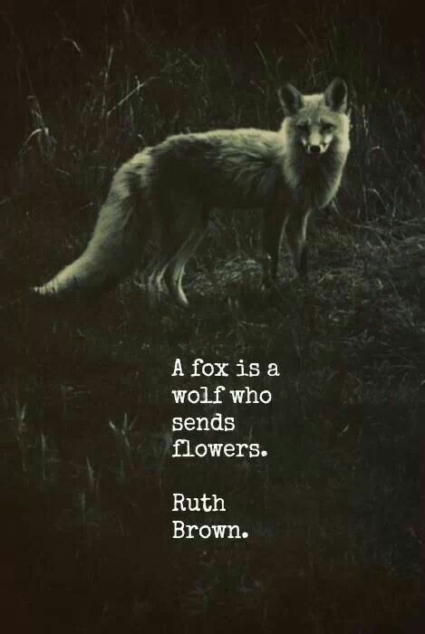 a fox is a wolf who sends flowers