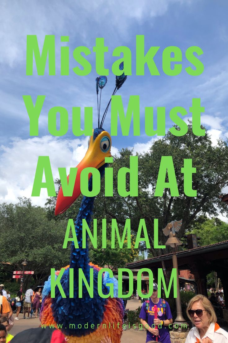 an animal statue with words over it that says, what makes you must avoid at animal kingdom