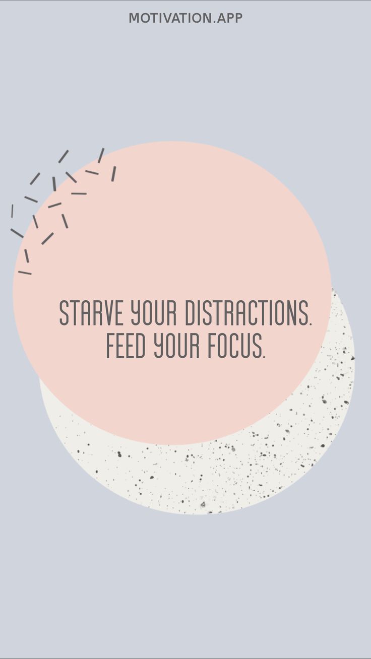 a pink speech bubble with the words, stay your distactions feed your focus