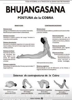 an advertisement for the yoga teacher's manual, showing how to do backbens