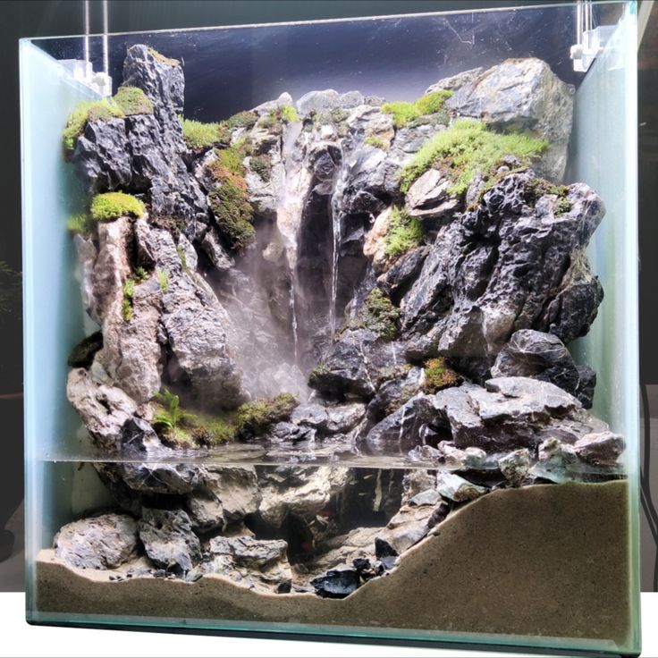 an aquarium filled with rocks and water