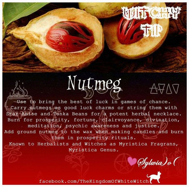 Nutmeg Witchcraft Uses, Nutmeg In Witchcraft, Nutmeg Witchcraft, Nutmeg Magic, Hoodoo Herbs, Witches Herbs, Herb Magic, Myristica Fragrans, Magickal Herbs