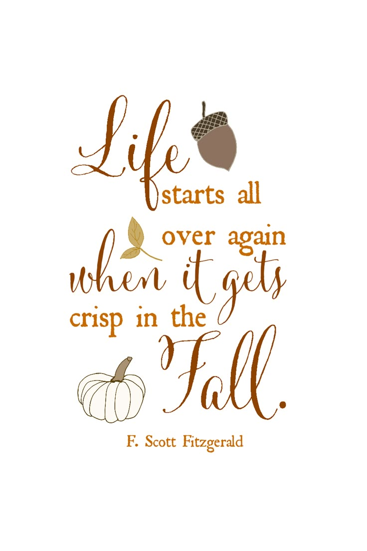 Life starts all over again when it gets crisp in the fall November Quotes, Free Fall Printables, Fitzgerald Quotes, F Scott Fitzgerald, Fall Printables, Autumn Quotes, Happy Fall Y'all, Fall Holidays, Happy Fall