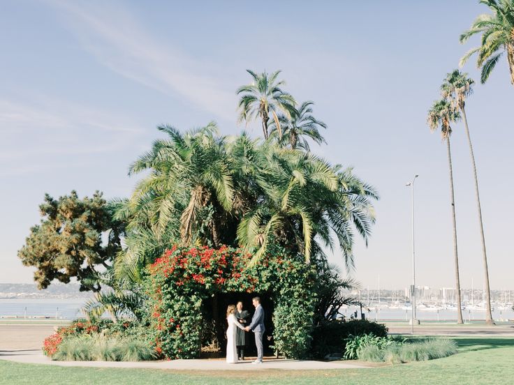 a bride and groom standing in front of palm trees