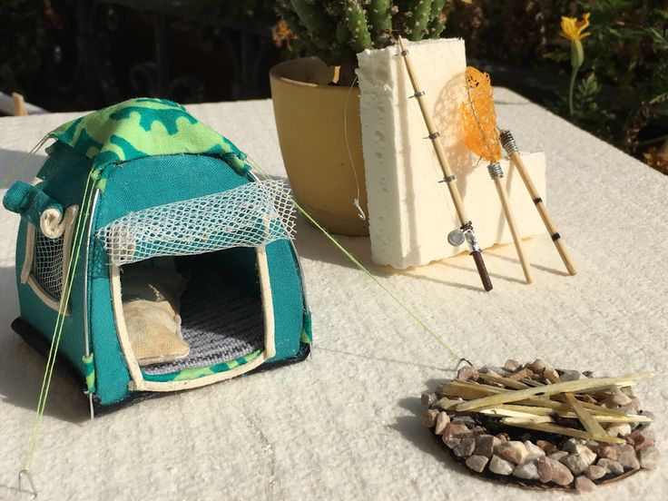 there is a cat in a small tent on the table next to some plants and rocks