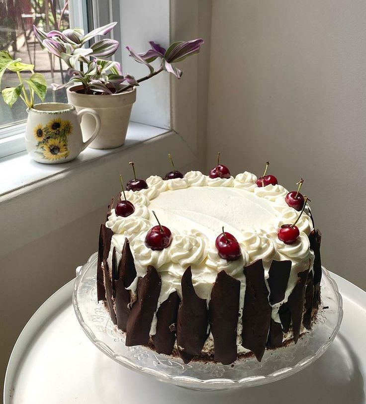 a cake sitting on top of a white table next to a potted plant and window